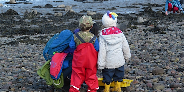 Wild About The Basin | Scottish Wildlife Trust, Montrose Basin Visitor Centre and Wildlife Reserve