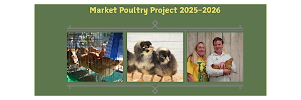 2025-2026 Brevard County  4-H  Market Poultry Project | UF/IFAS Extension - Brevard County