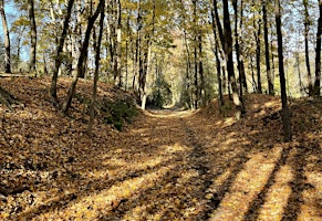 First Day 2026 Hike in Watchung Resevation! | Trailside Nature & Science Center