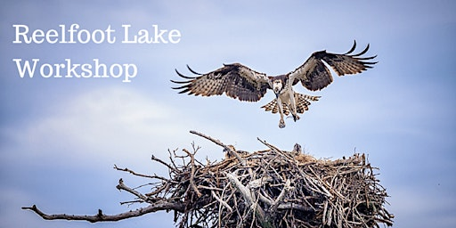 Reelfoot Lake Photo Workshop | Reelfoot Lake Photo Workshop