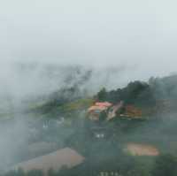 180 All day All season @ Khao Kho