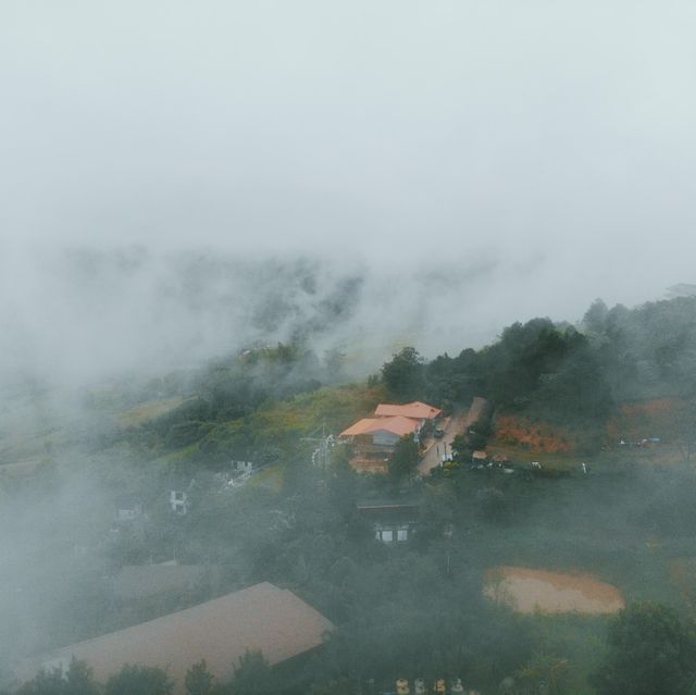 180 All day All season @ Khao Kho