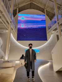 4계절 파란 바다를
볼 수 있는 카페💙🌊