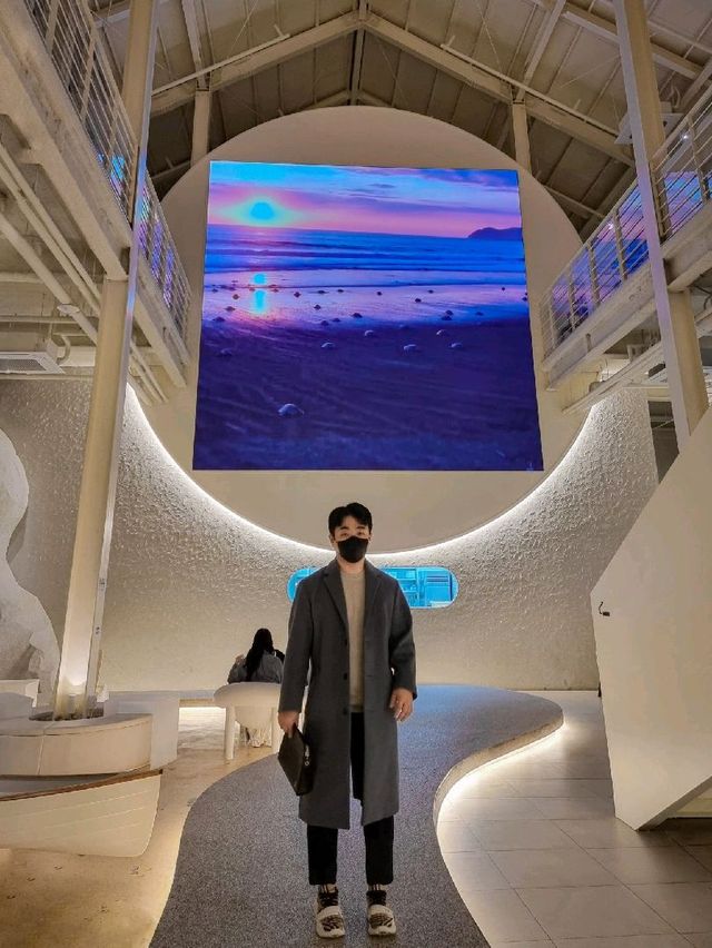 4계절 파란 바다를
볼 수 있는 카페💙🌊