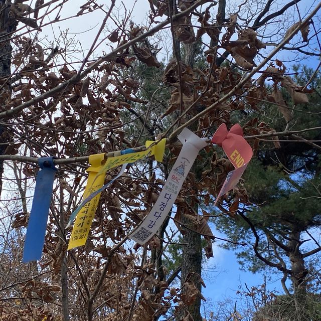 가볍게 오르기 좋은 등린이 추천산 , 청계산⛰