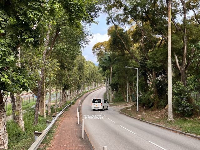 白石角神秘單車徑