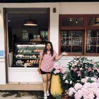 อลังการสวนดอกไม้ในเมืองเชียงใหม่
