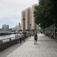 避風塘嘅無敵海景