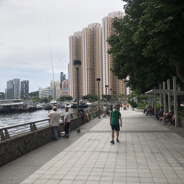 避風塘嘅無敵海景