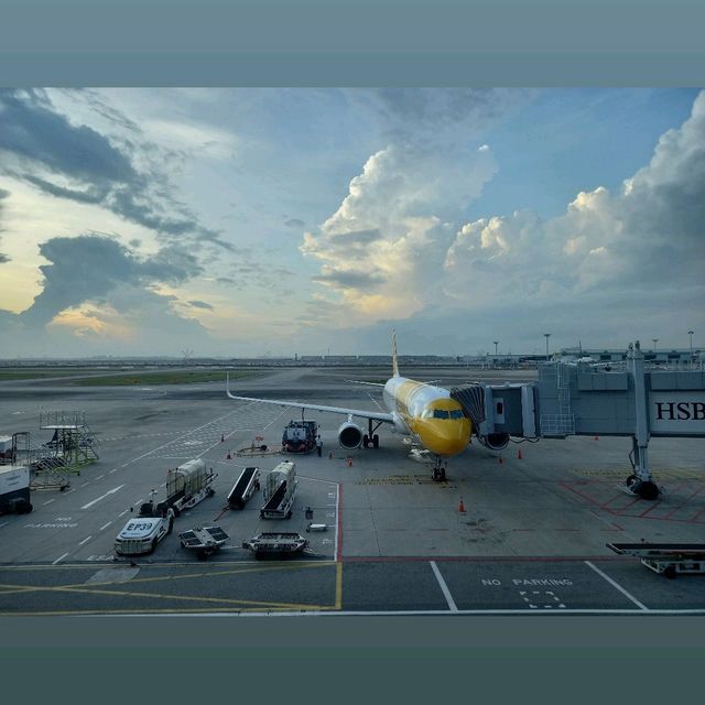 Finally Flying