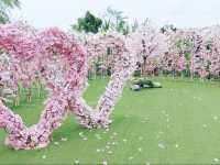 信芯園賞花好去處