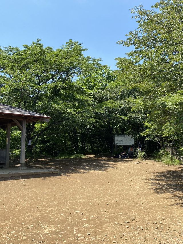 【東京・奥多摩】棒ノ折山