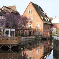法國Colmar 🌸小威尼斯