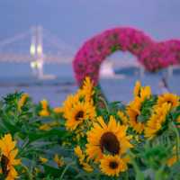 🌊아름다운 푸른바다와 해바라기가 함께하는곳 [부산, 광안리해수욕장/해변공원]🌻