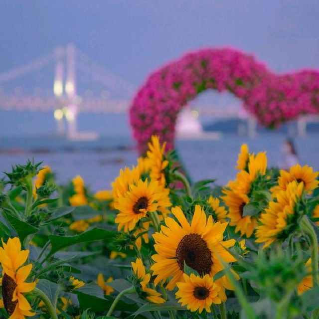 🌊아름다운 푸른바다와 해바라기가 함께하는곳 [부산, 광안리해수욕장/해변공원]🌻