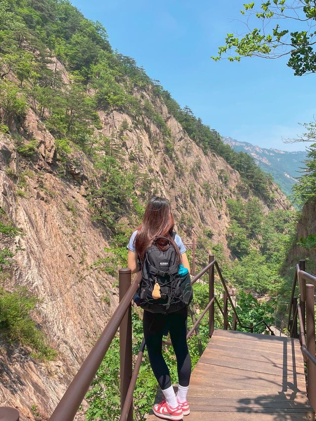 등린이도 도저언!! 설악산 토왕성폭포전망대 코스⛰