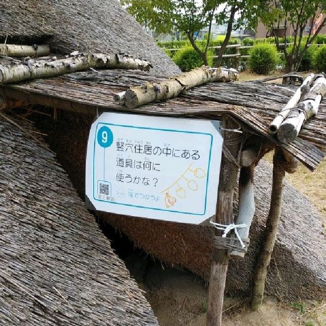兵庫県の大中遺跡は日帰り遠足におすすめ