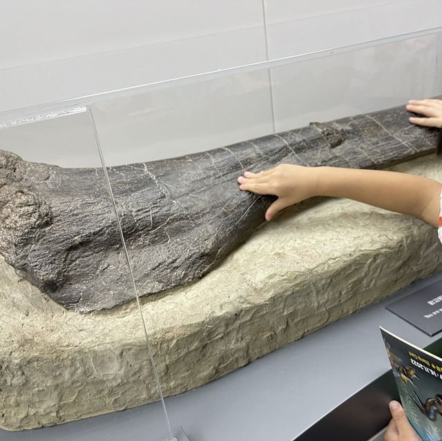 😆免費入場任玩！去科學館睇恐龍🦖