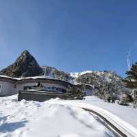 제주도 설산의 매력, 한라산은 겨울이 가장 예쁘다