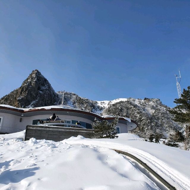 제주도 설산의 매력, 한라산은 겨울이 가장 예쁘다