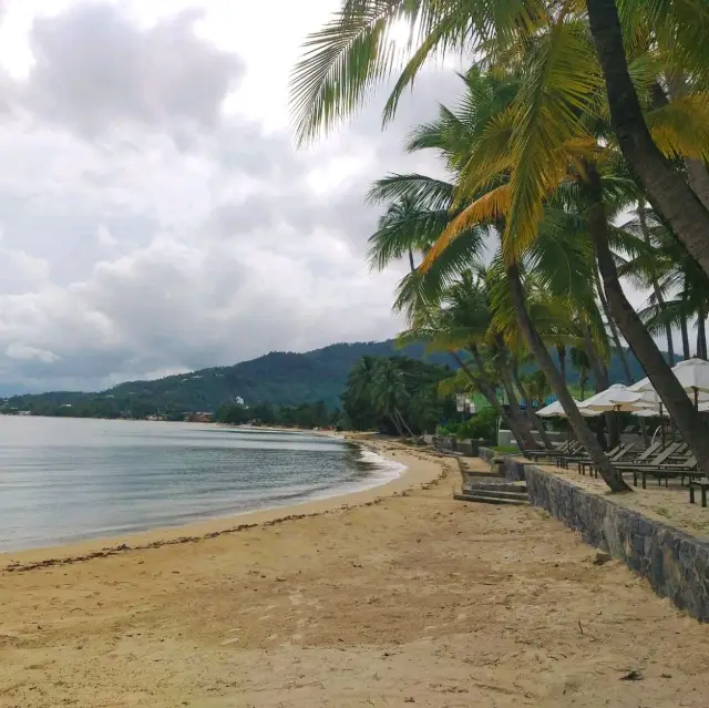 เดินเล่นชายหาดละไม หาดหน้าที่พักติดกับสระว่ายน้ำ