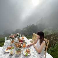 The cloud ม่อนเงาะ อาหารเช้าดีย์ วิวหมอก