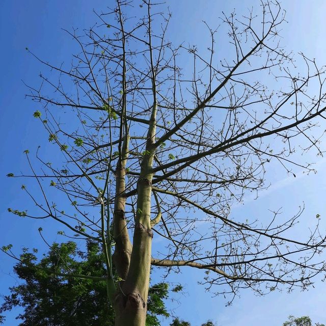 將軍澳坑口文曲里公園