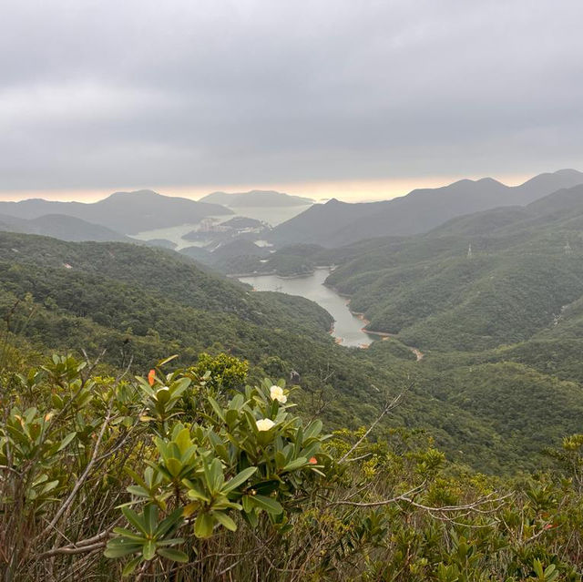 三山勁走✌️✌️✌️💪💪柏架山，畢拿山，渣甸山