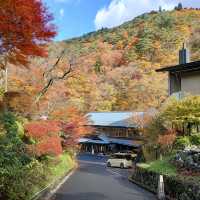 岩手県！お湯と紅葉を求めて大沢温泉へ