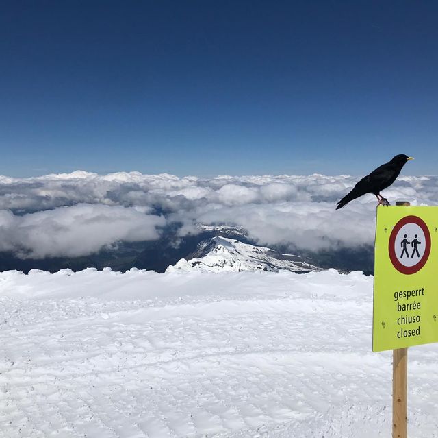 Top of Europe - Jungfraujoch