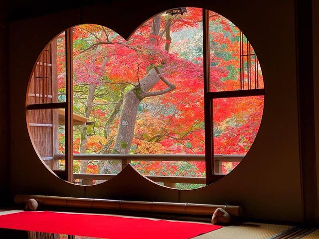 京都・嵐山 『祐斎亭』の紅葉