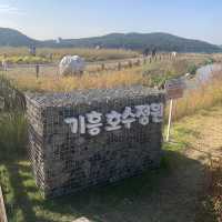 기흥에도 이런 예쁜 호수 공원이!