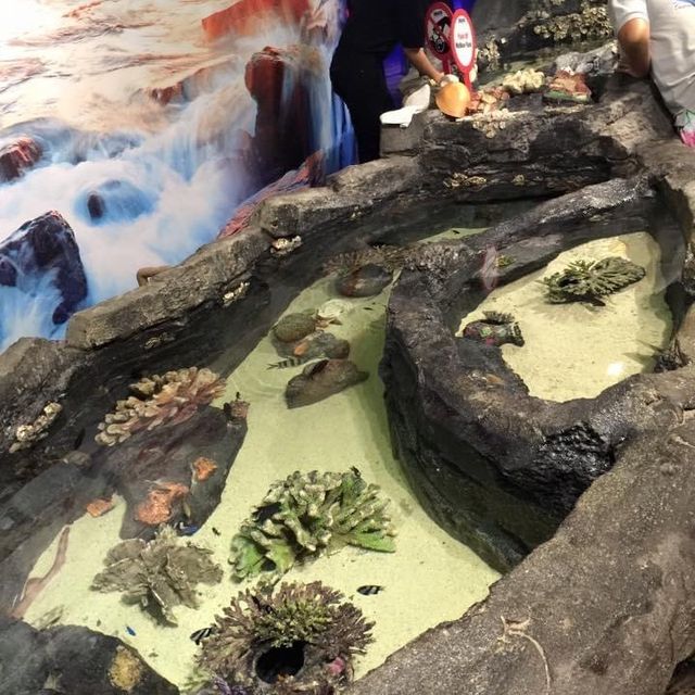 旅遊推介 吉隆坡-城中城水族館
