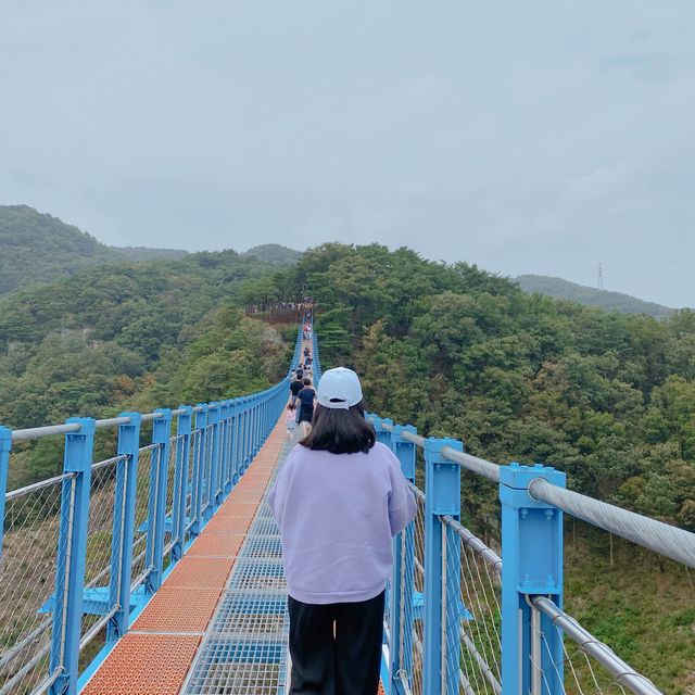 출렁이는 원주 소금산 출렁다리⛰️