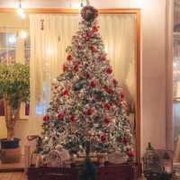 크리스마스 포토존이 한가득인 카페 원주 사진정원🎄🎅🏻