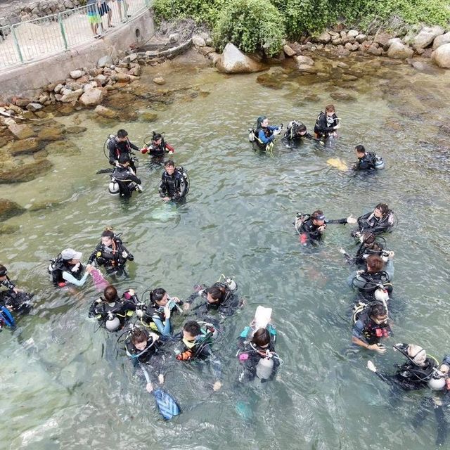 陽光與海等緊你-香港海底水肺潛水體驗
