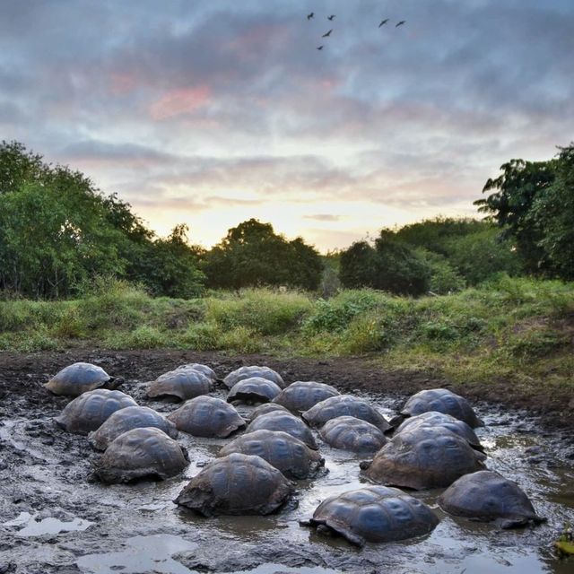 Galapagos Islands, Ecuador