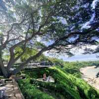 Chill ณ The Sky Galleryคาเฟ่บนเขาวิวทะเล