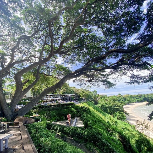 Chill ณ The Sky Galleryคาเฟ่บนเขาวิวทะเล
