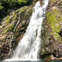 屋久島旅行❗️日本の滝100選
