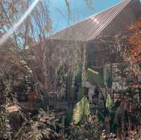 คาเฟ่ The little cottage
