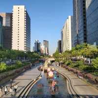 Urban oasis in Seoul