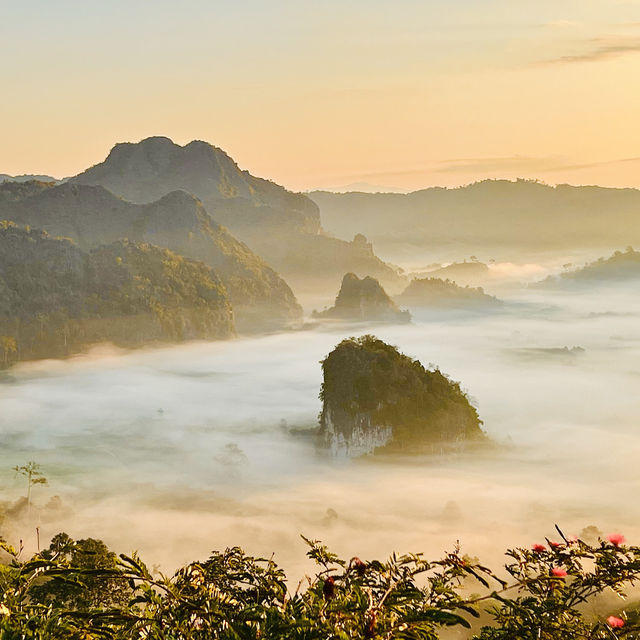 คาเฟ่หลักร้อย   วิวระดับล้าน