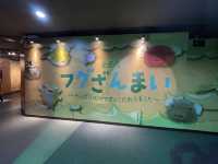 岐阜県•各務原市🐠世界最大級の淡水魚水族館【アクアトト岐阜】