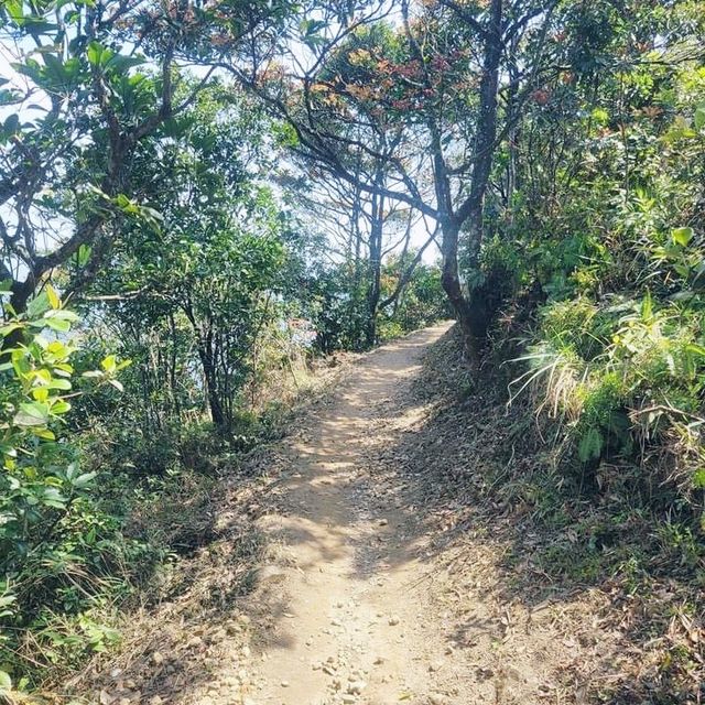 衛奕信徑第四段