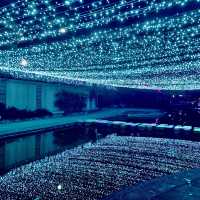 新莊幸福站🔮2022新北鯨彩中港光雕展🤩越夜越美麗✨