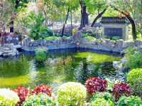 九龍城寨公園賞花好去處