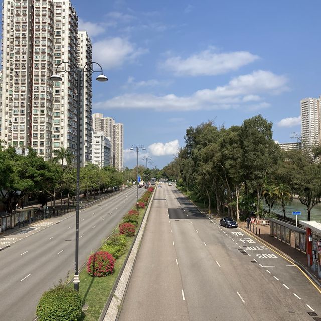 單車遊大尾督