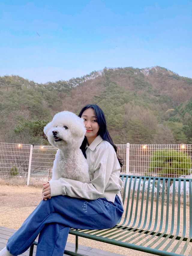 독채 펜션에서 반려견과 함께 힐링하기