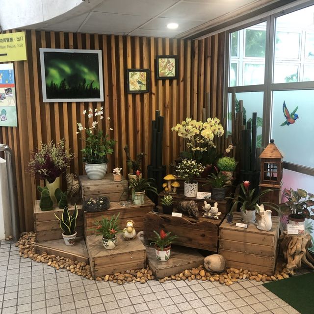 欣賞溫室內的植物